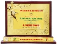 Global Excellence Award 2019Global Excellence Award 2019