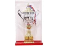 Global Leaders Foundation Award 2015 - Finest Film & TV Institute of India